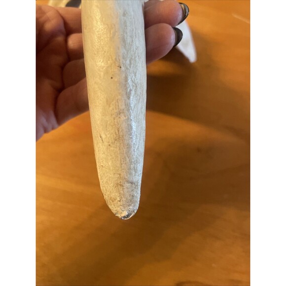 Vintage Venetian Long Nose Casanova Plague Carnival Mask Decorative - Picture 5 of 9